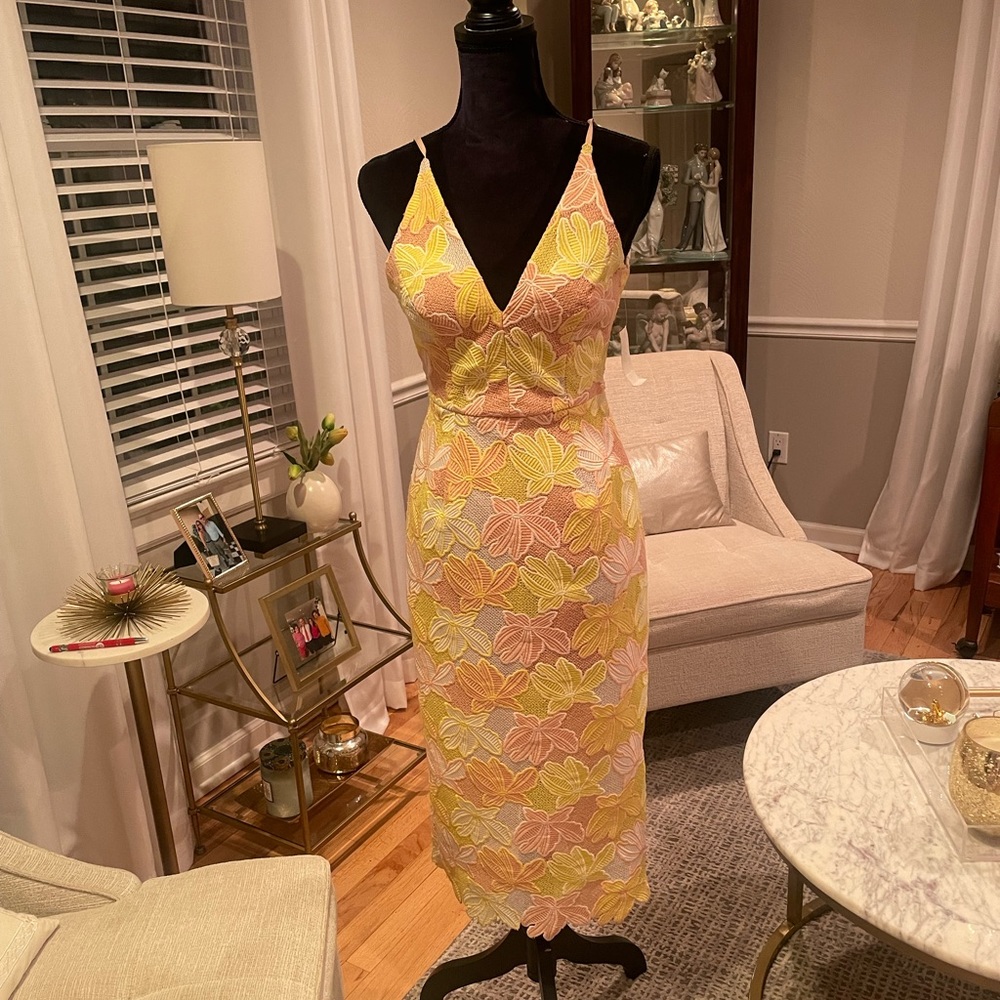 Gorgeous Dress fitted. true size 0.